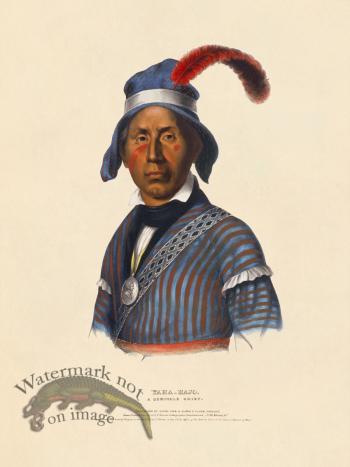 Yaha-Hajo Seminole